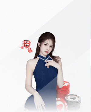 xingkong.comapp 屋里乒乓球台